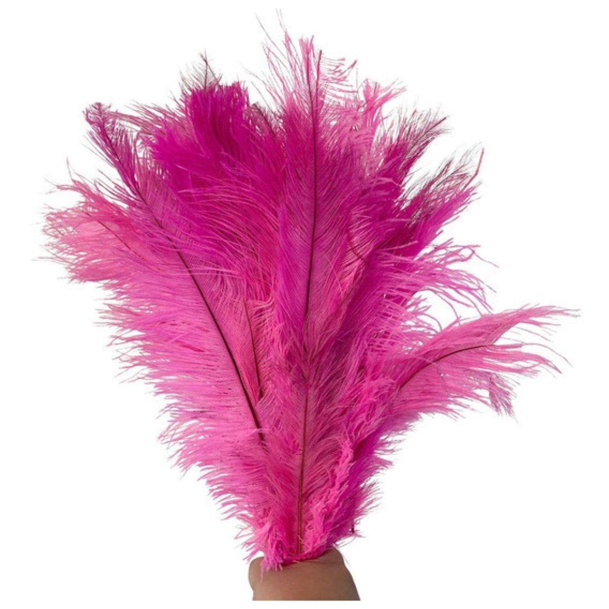 Pluma animal sales