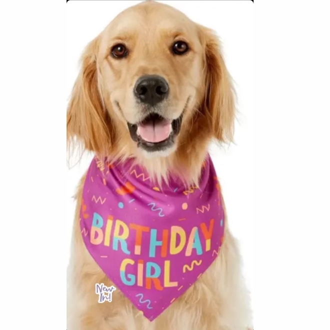 BANDANA PET HAPPY BIRTHDAY